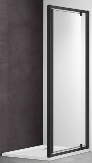 Душевая дверь Aquatek AQ ARI PI 10020BL 100см чёрный